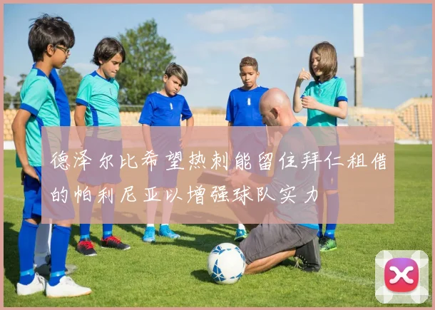 德泽尔比希望热刺能留住拜仁租借的帕利尼亚以增强球队实力