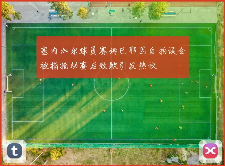 塞内加尔球员赛姆巴耶因自拍误会被指抢劫赛后致歉引发热议