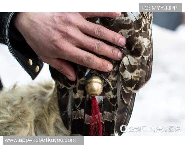 腿筋受伤影响复出纳斯透露沃特福德初步训练进展缓慢